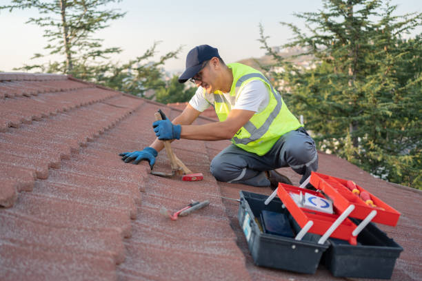 Roof Gutter Cleaning in Edgewater, CO
